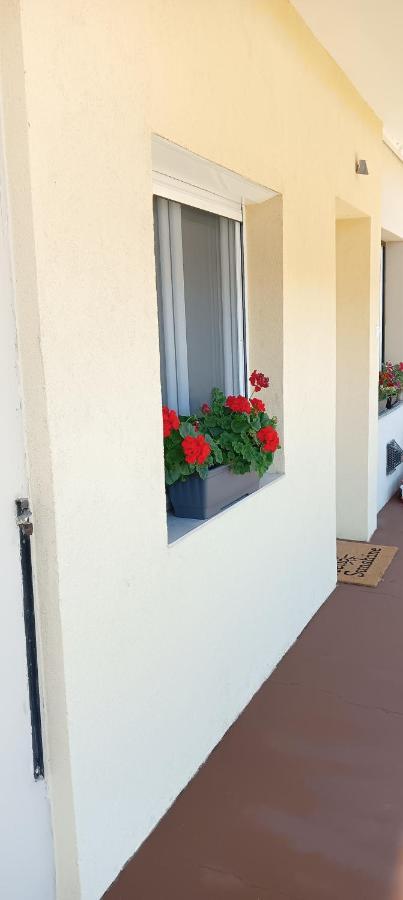 David Apartman Apartment Siofok Ngoại thất bức ảnh