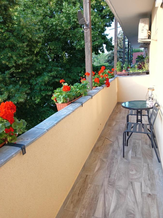 David Apartman Apartment Siofok Ngoại thất bức ảnh
